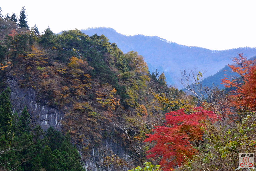 三峰渓谷大血川ドライブイン付近の紅葉
