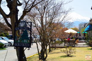 木ノ花美術館から見た富士山